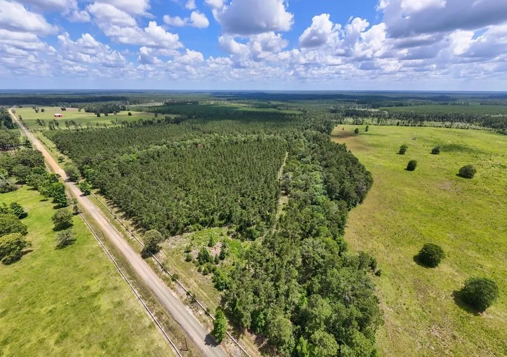 County Road 1450 Warren, TX 77664
