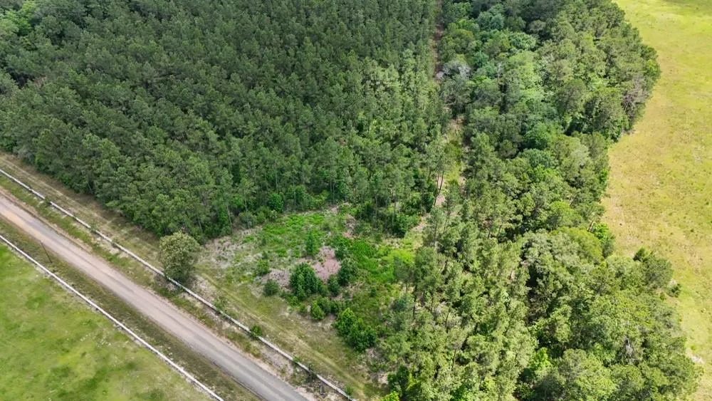 County Road 1450 Warren, TX 77664
