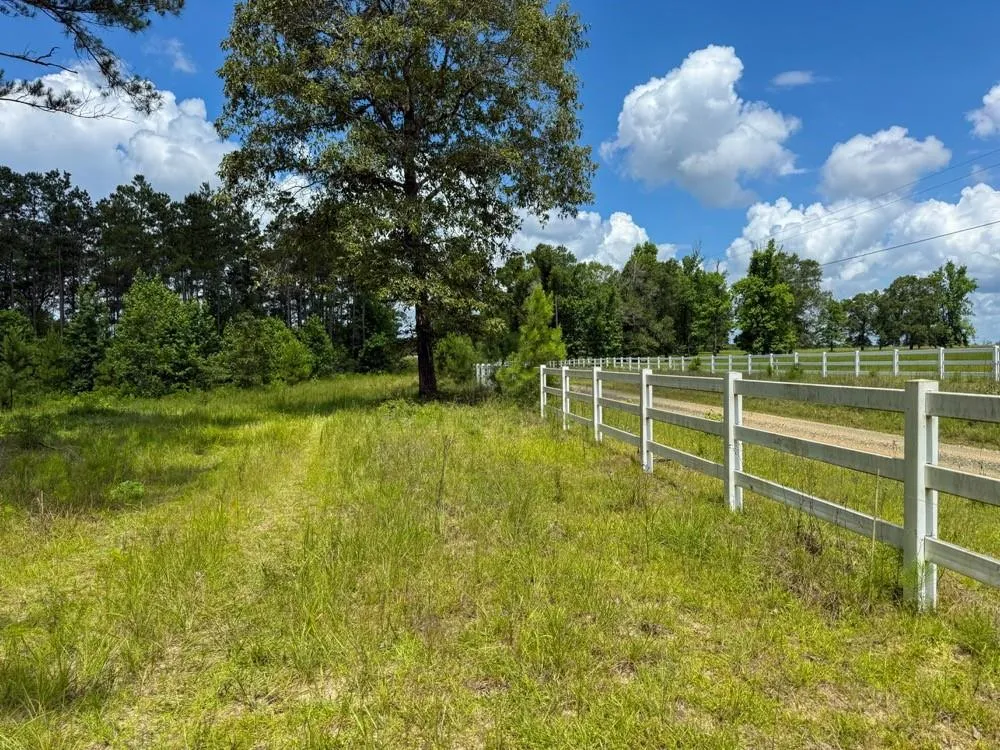 County Road 1450 Warren, TX 77664
