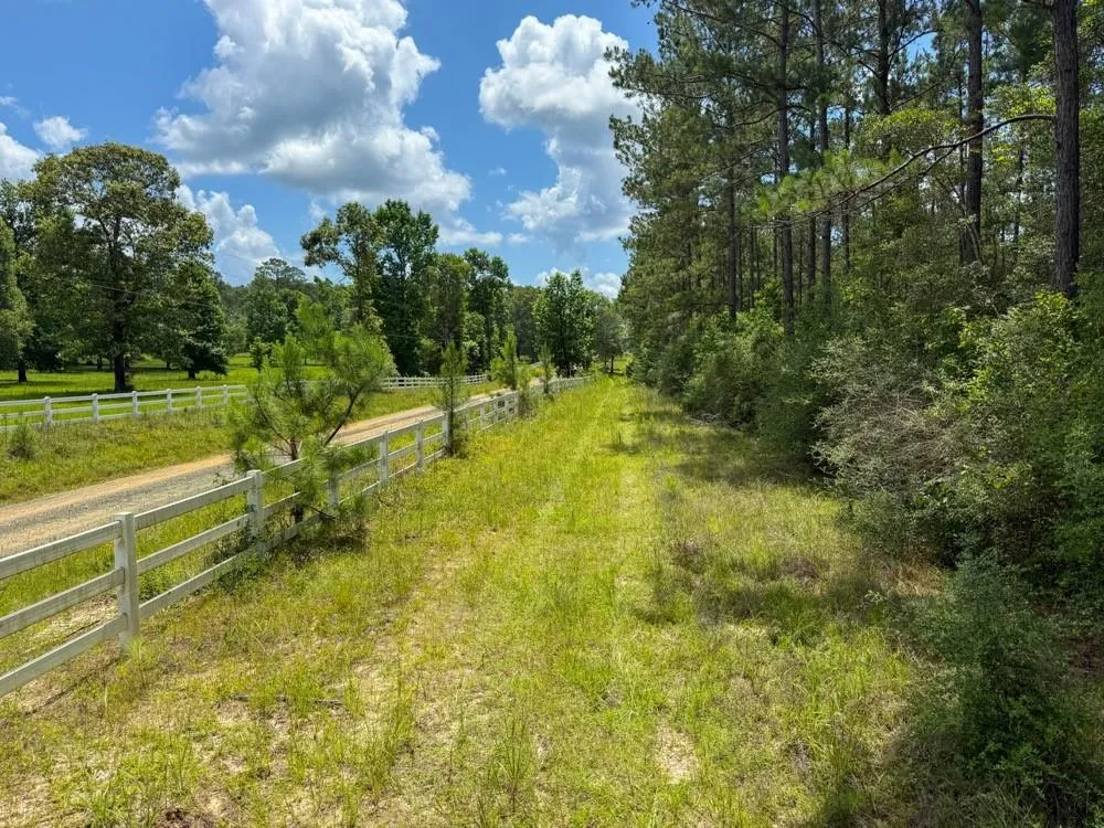 County Road 1450 Warren, TX 77664