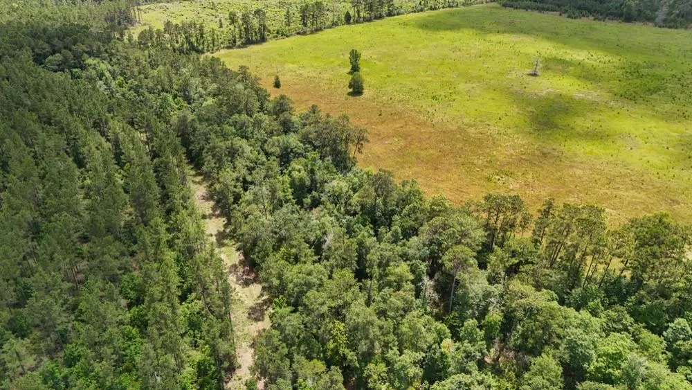 County Road 1450 Warren, TX 77664