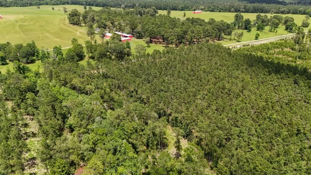 County Road 1450 Warren, TX 77664