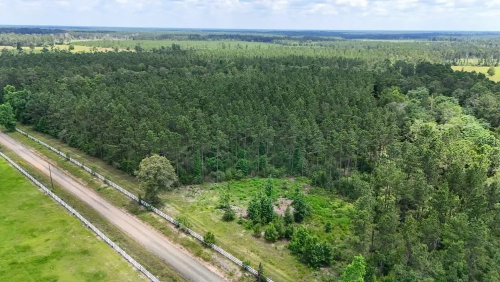 County Road 1450 Warren, TX 77664