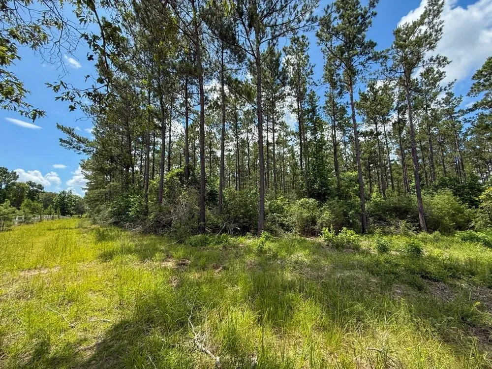 County Road 1450 Warren, TX 77664