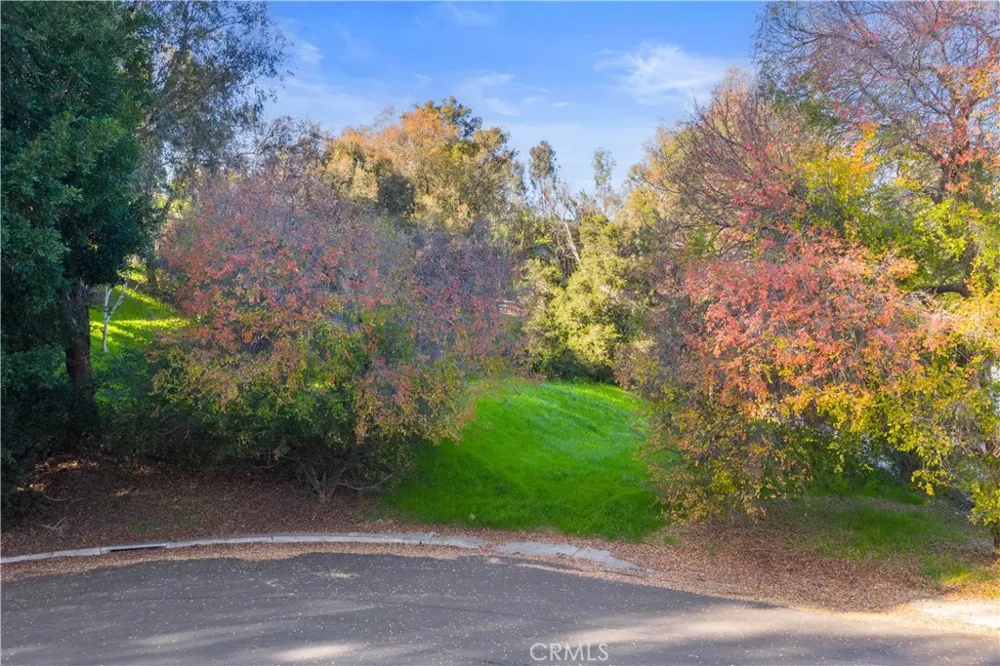 27281 Viewpoint San Juan Capistrano, CA 92675
