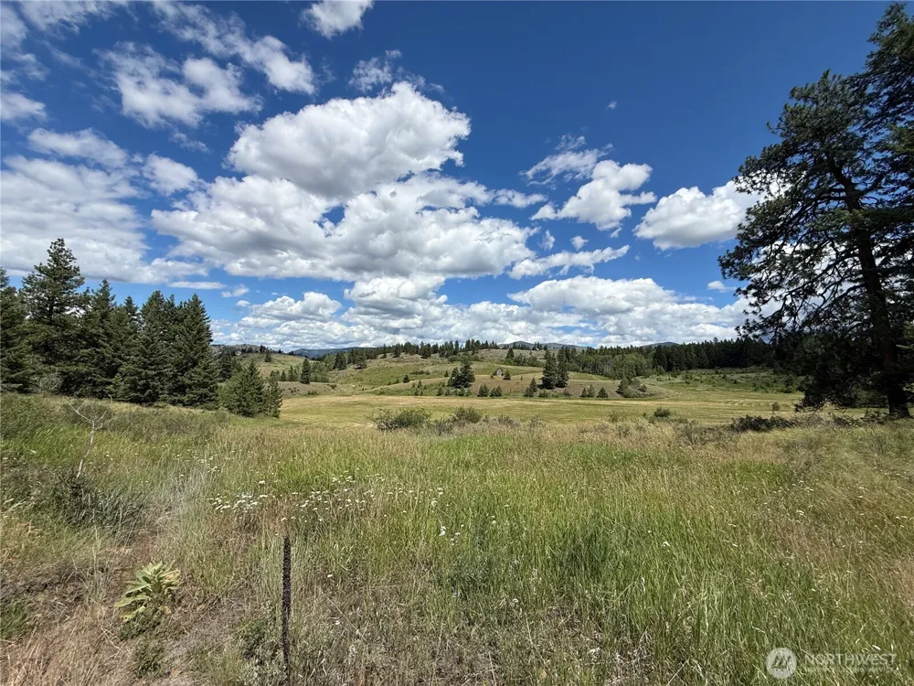 42 Tedesco Road Republic, WA 99166