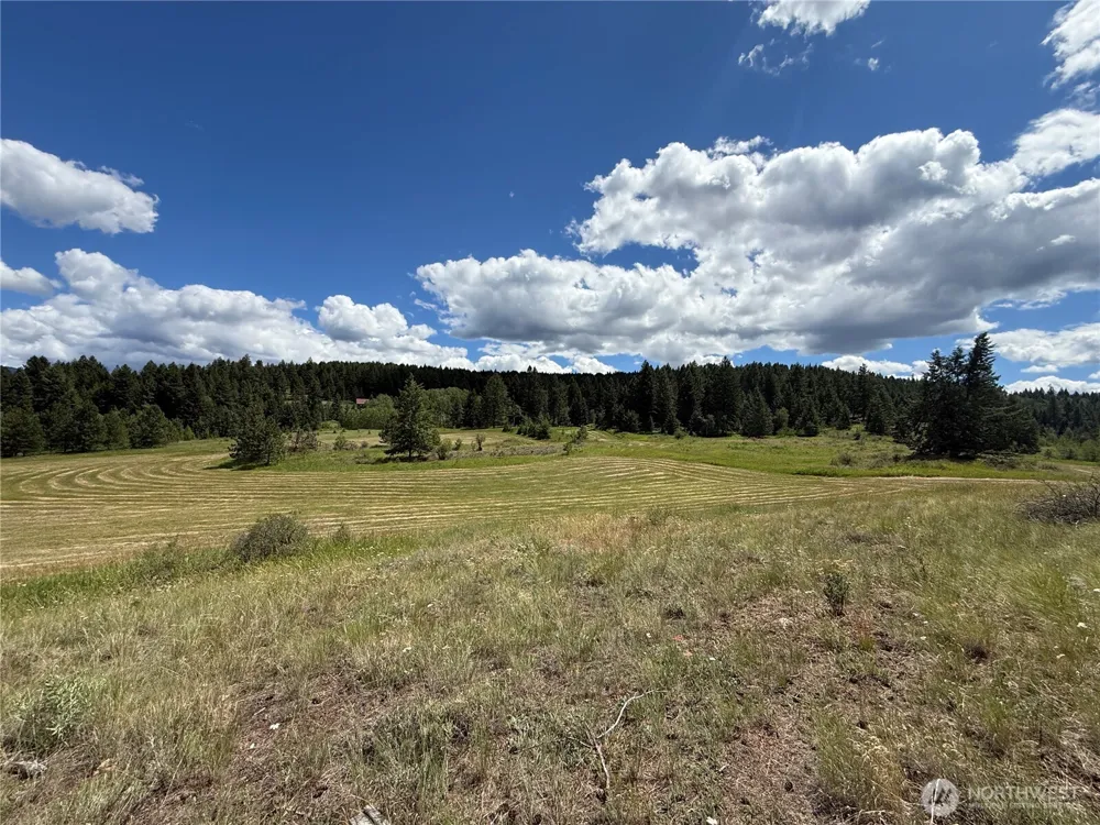 42 Tedesco Road Republic, WA 99166