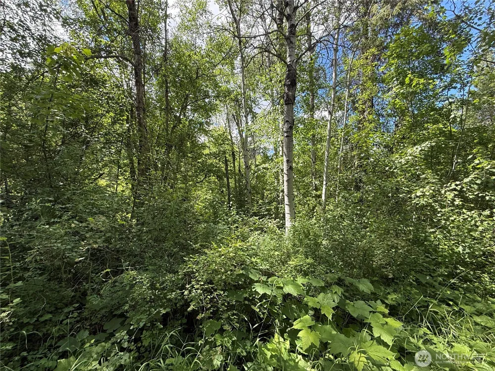 42 Tedesco Road Republic, WA 99166