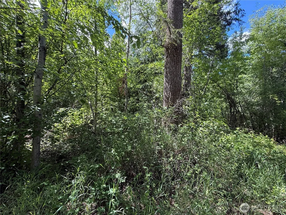42 Tedesco Road Republic, WA 99166