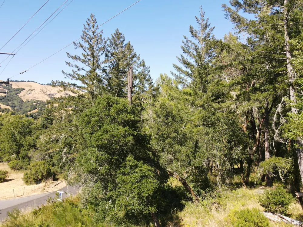 1 Meadow View Lane San Geronimo, CA 94963