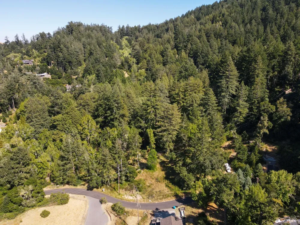 1 Meadow View Lane San Geronimo, CA 94963