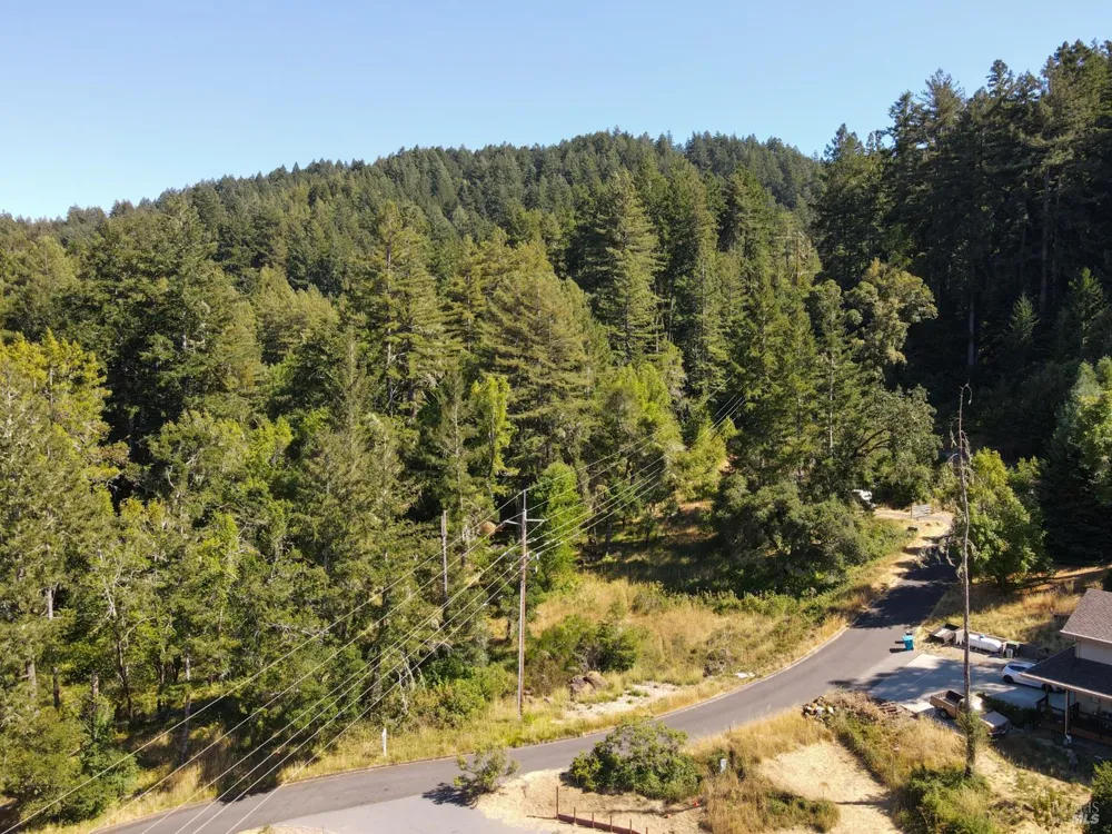 1 Meadow View Lane San Geronimo, CA 94963