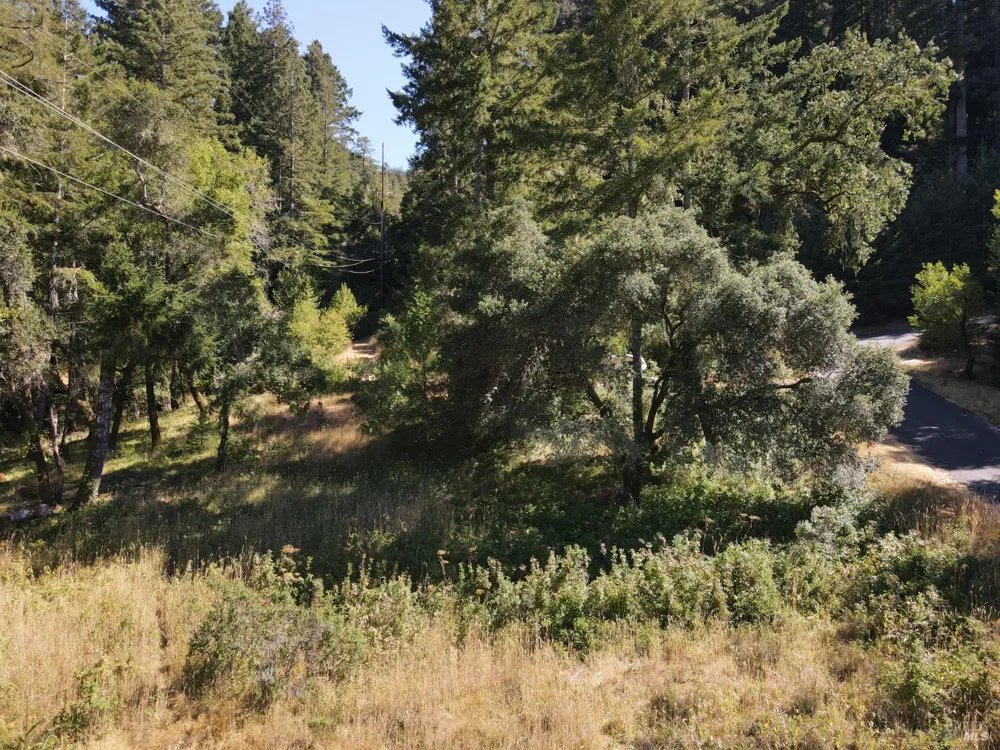 1 Meadow View Lane San Geronimo, CA 94963