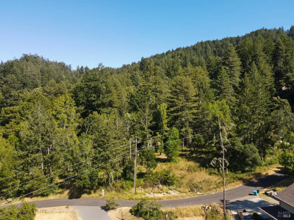 1 Meadow View Lane San Geronimo, CA 94963
