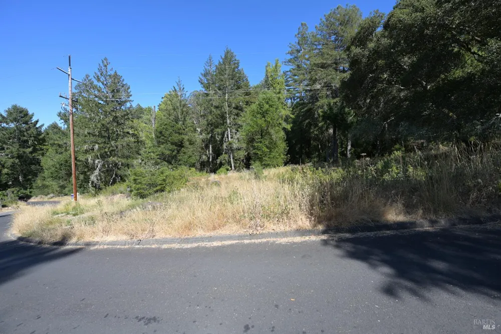 1 Meadow View Lane San Geronimo, CA 94963