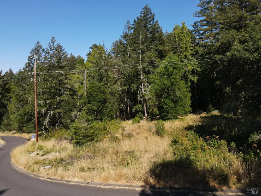 1 Meadow View Lane San Geronimo, CA 94963