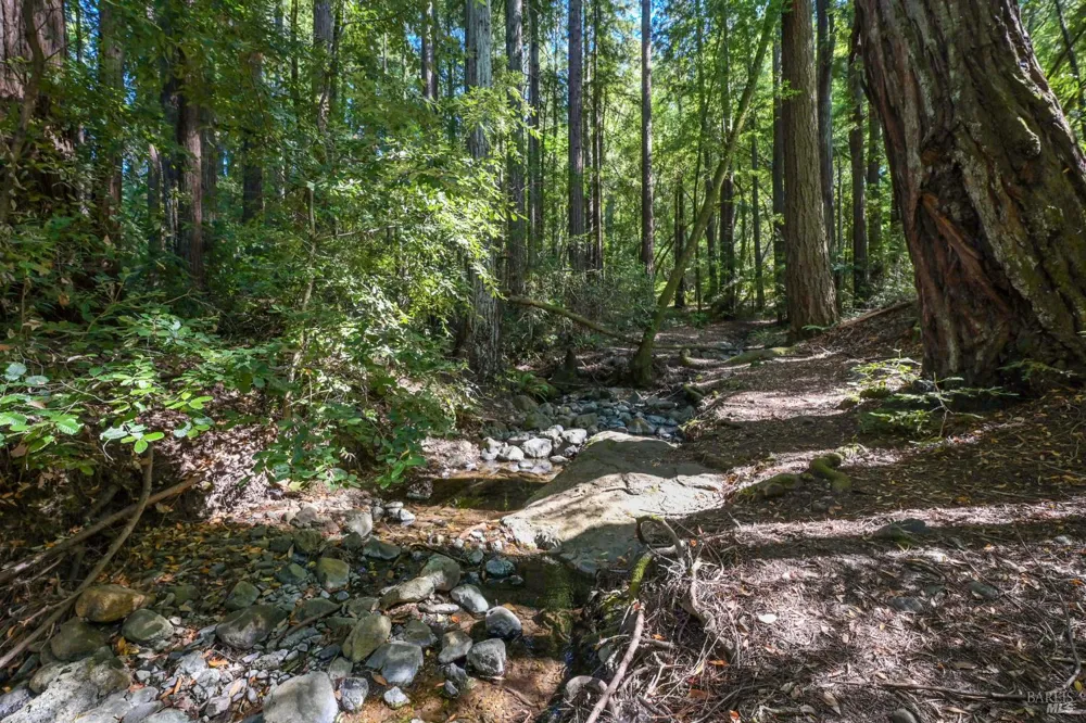 1 Meadow View Lane San Geronimo, CA 94963