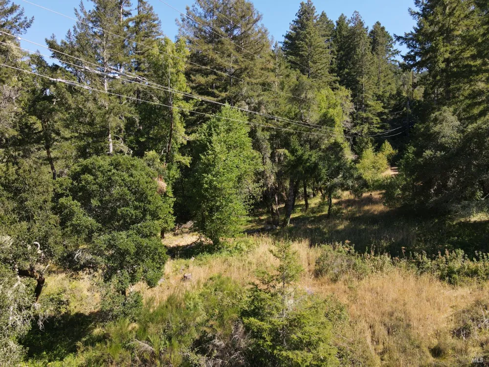 1 Meadow View Lane San Geronimo, CA 94963