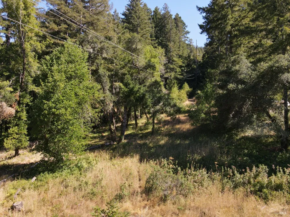 1 Meadow View Lane San Geronimo, CA 94963