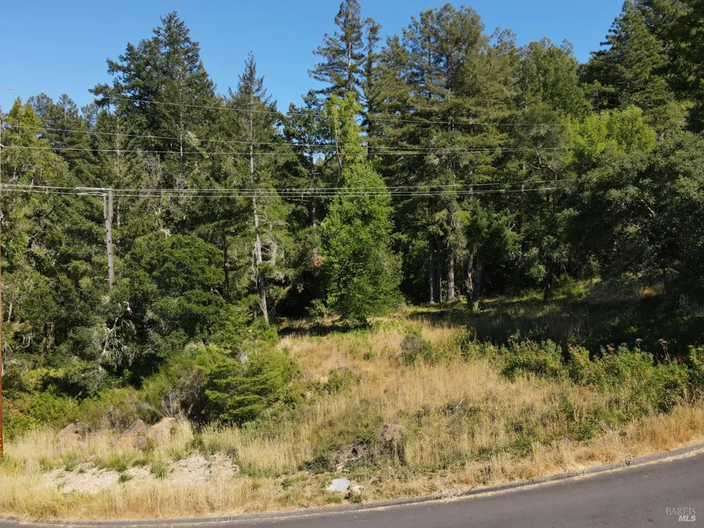 1 Meadow View Lane San Geronimo, CA 94963
