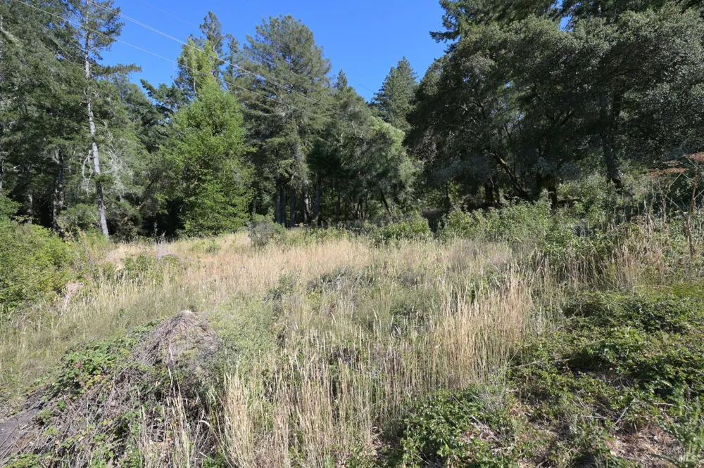 1 Meadow View Lane San Geronimo, CA 94963