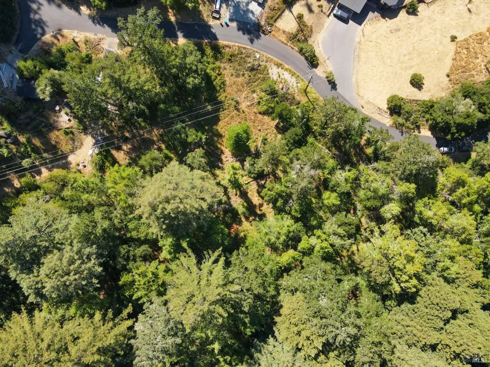 1 Meadow View Lane San Geronimo, CA 94963