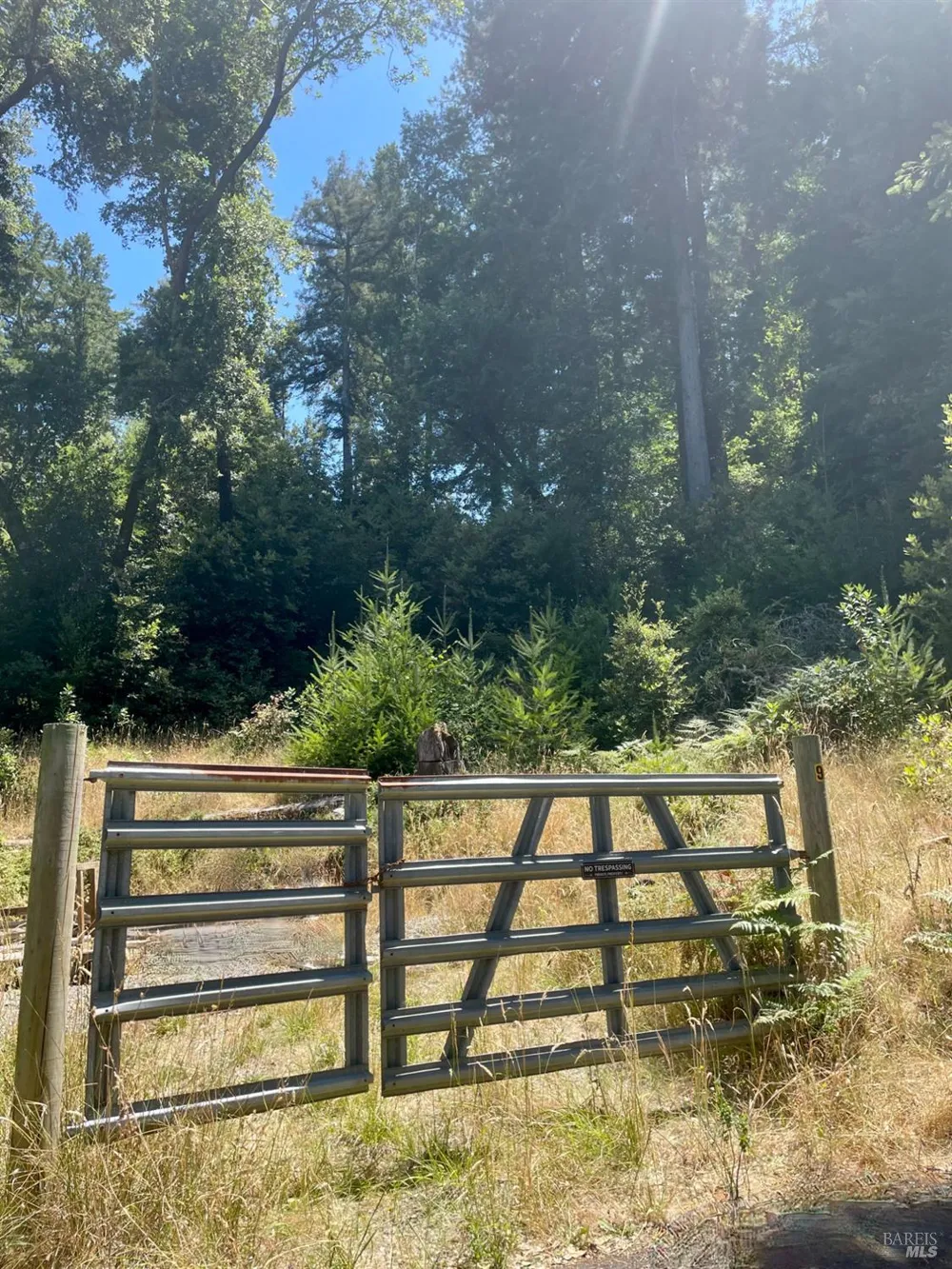 5 Meadow View Lane San Geronimo, CA 94963