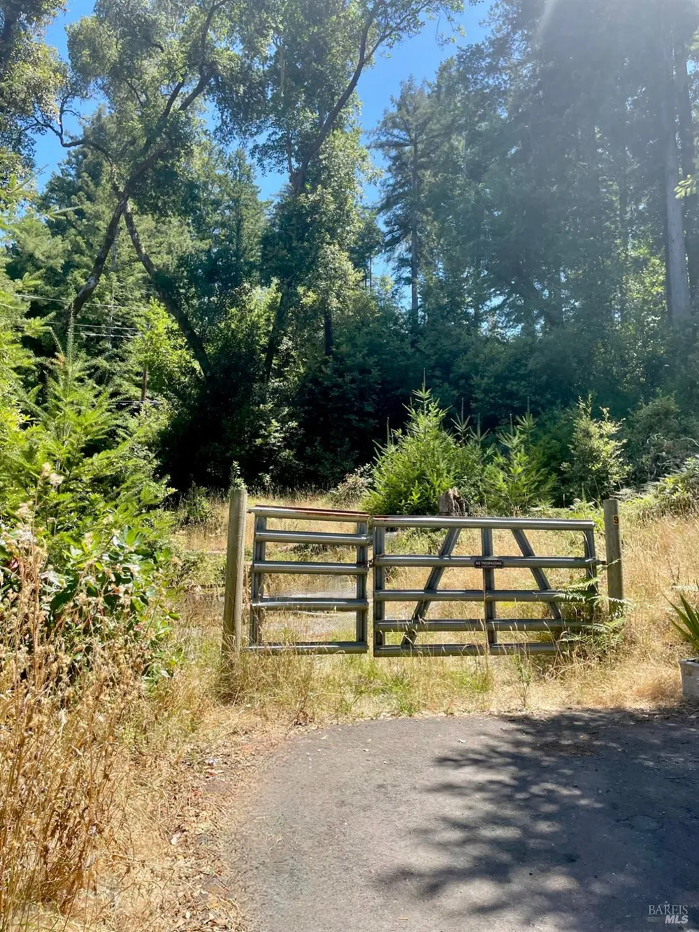 5 Meadow View Lane San Geronimo, CA 94963