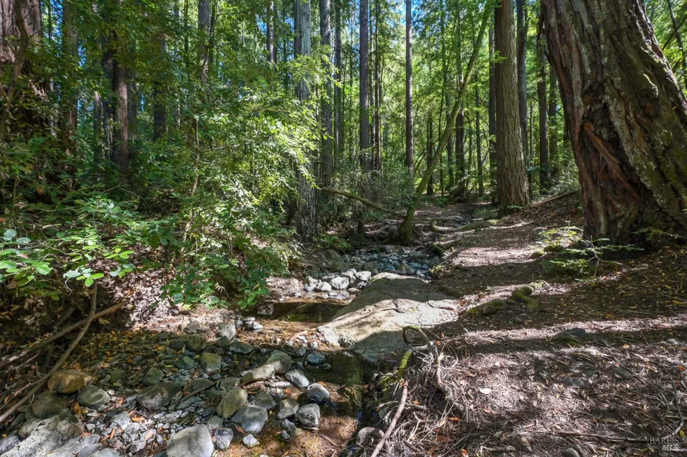 5 Meadow View Lane San Geronimo, CA 94963