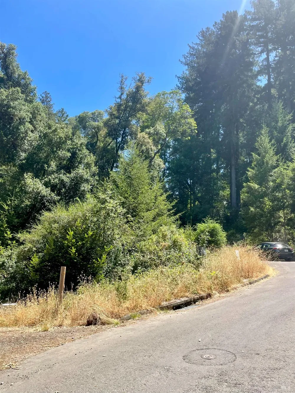 5 Meadow View Lane San Geronimo, CA 94963