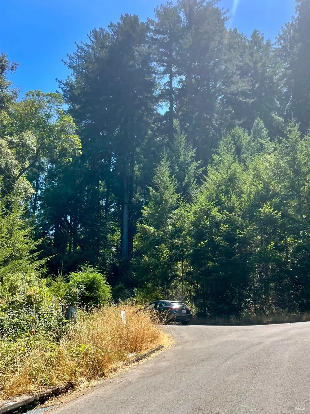 9 Meadow View Lane San Geronimo, CA 94963