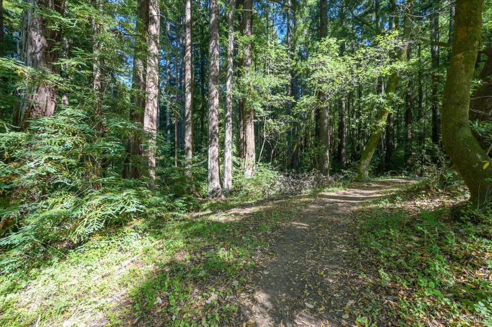 9 Meadow View Lane San Geronimo, CA 94963