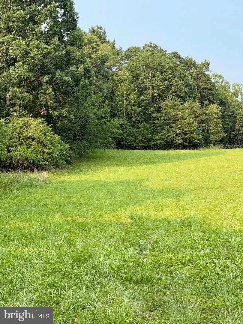 64 56A S BLUERIDGE TURNPIKE Madison, VA 22727