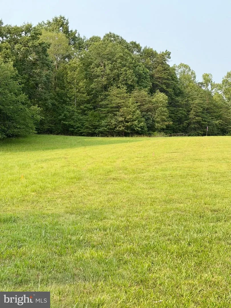 64 56A S BLUERIDGE TURNPIKE Madison, VA 22727