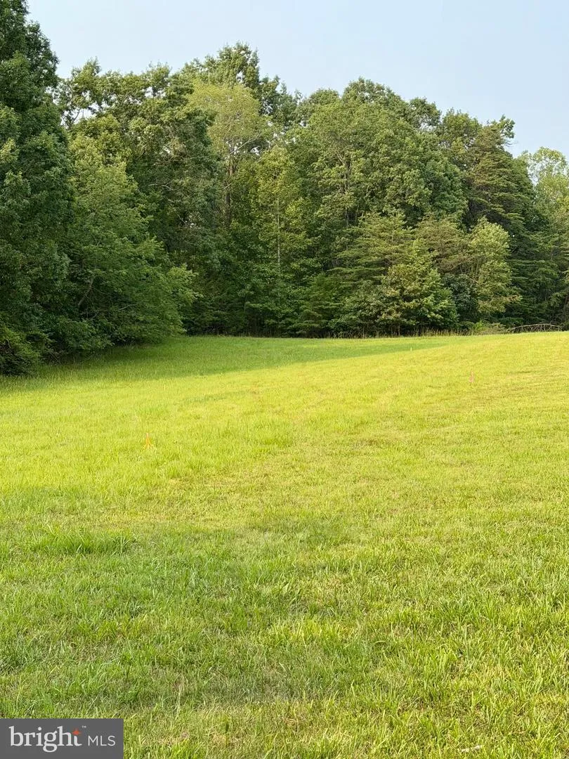 64 56A S BLUERIDGE TURNPIKE Madison, VA 22727
