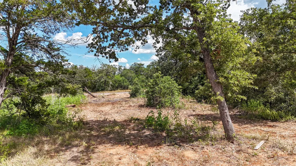 115 Eaglenest Court Smithville, TX 78957