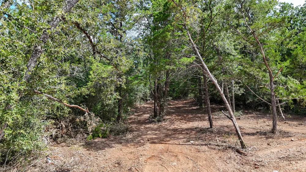 115 Eaglenest Court Smithville, TX 78957
