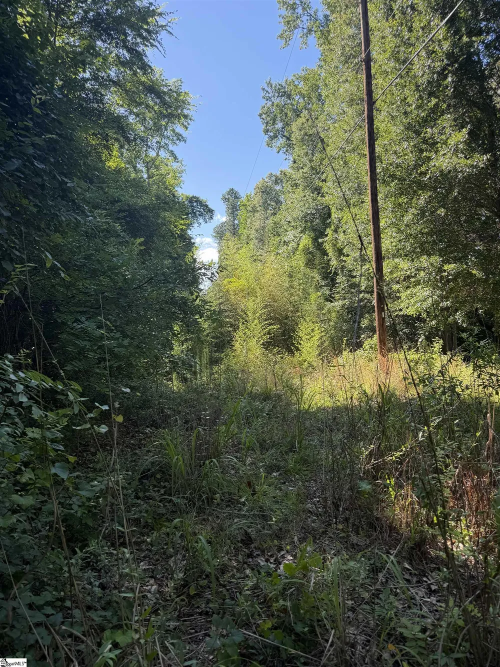 0 Buzhardt Road Ware Shoals, SC 29692