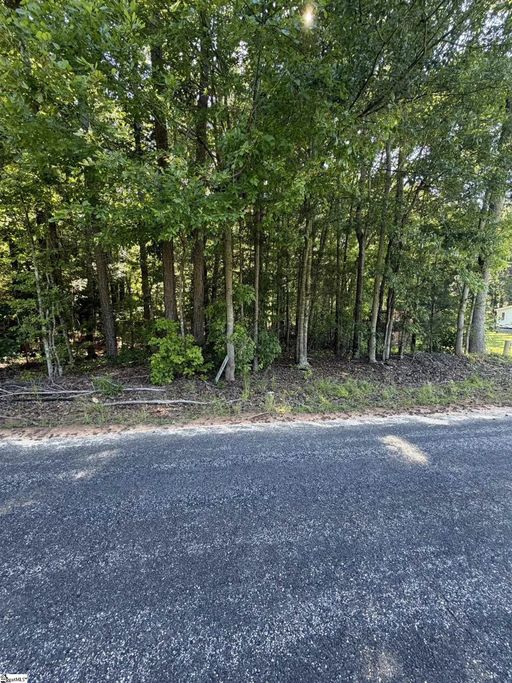 0 Buzhardt Road Ware Shoals, SC 29692