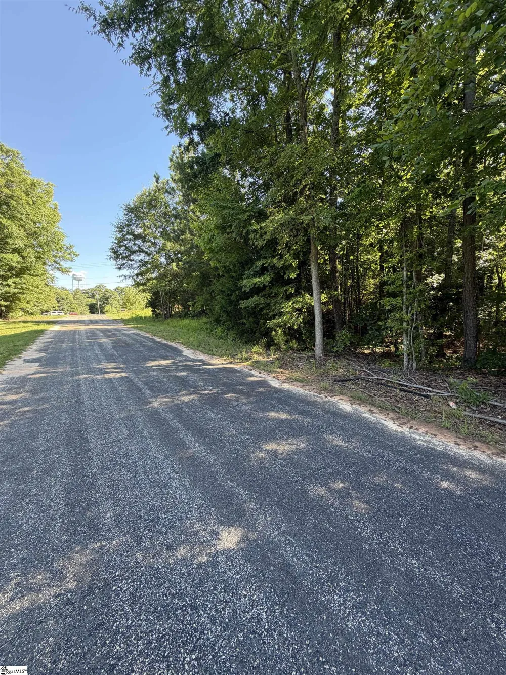 0 Buzhardt Road Ware Shoals, SC 29692