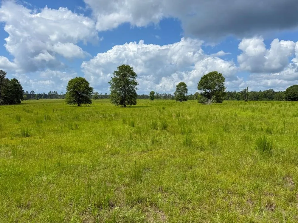 Cr 1450 Warren, TX 77664