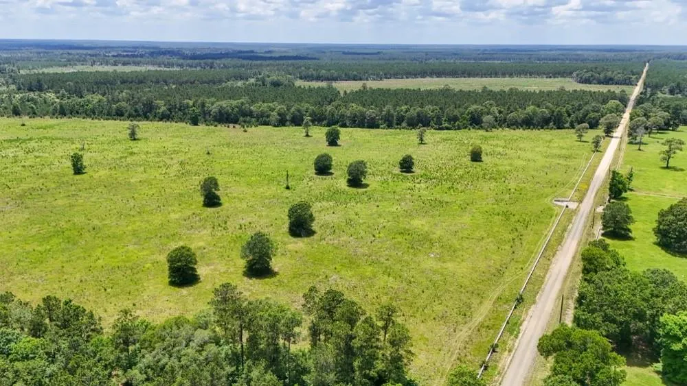 Cr 1450 Warren, TX 77664
