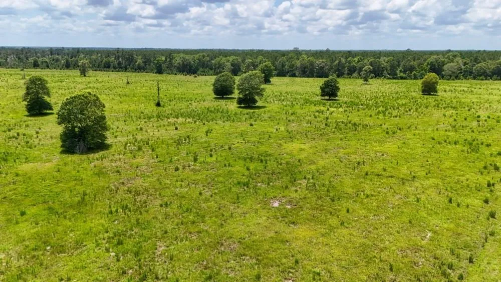 Cr 1450 Warren, TX 77664