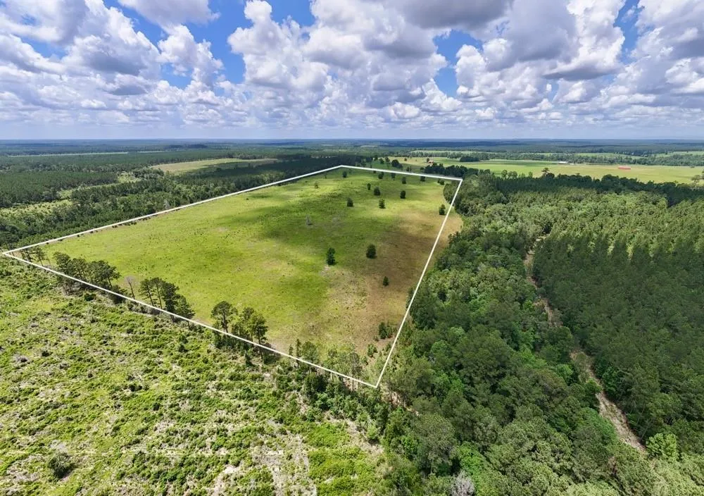 Cr 1450 Warren, TX 77664