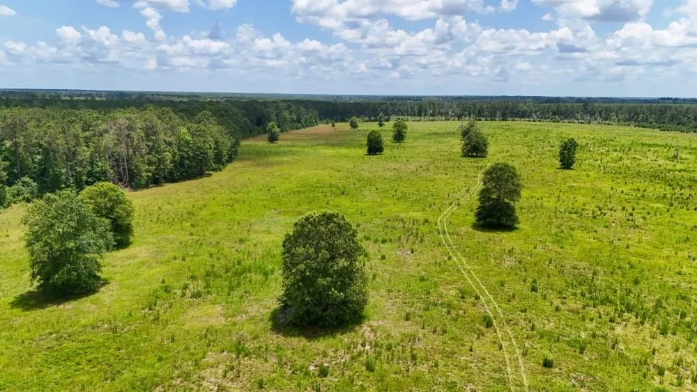 Cr 1450 Warren, TX 77664