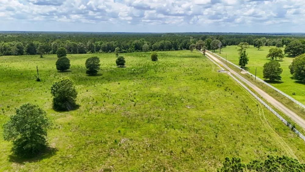 Cr 1450 Warren, TX 77664