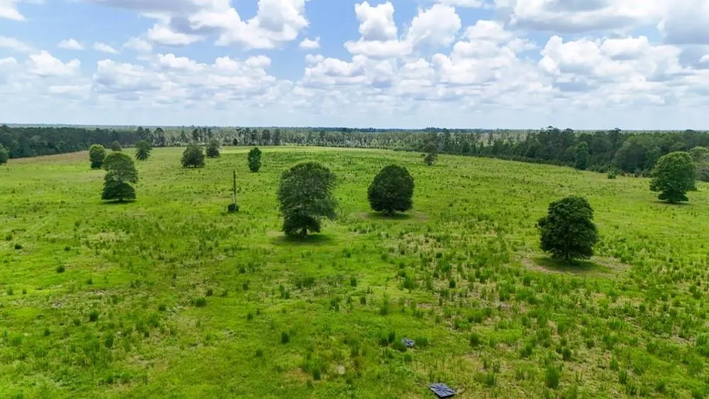 Cr 1450 Warren, TX 77664