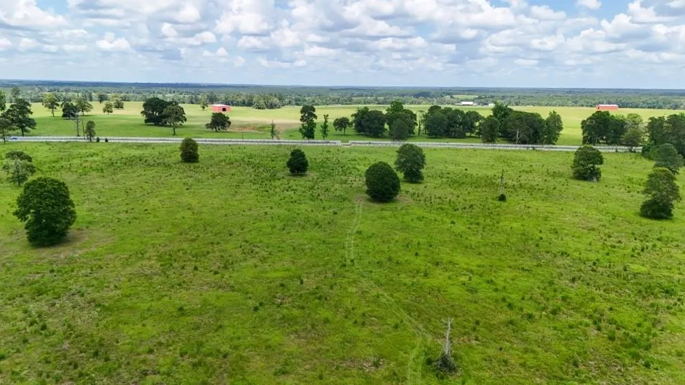 Cr 1450 Warren, TX 77664