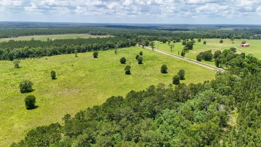 Cr 1450 Warren, TX 77664