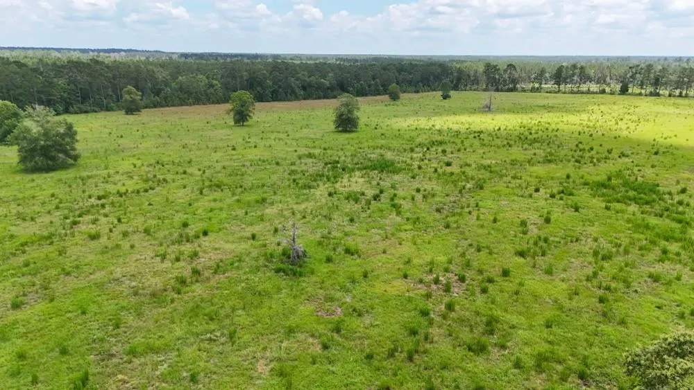 Cr 1450 Warren, TX 77664